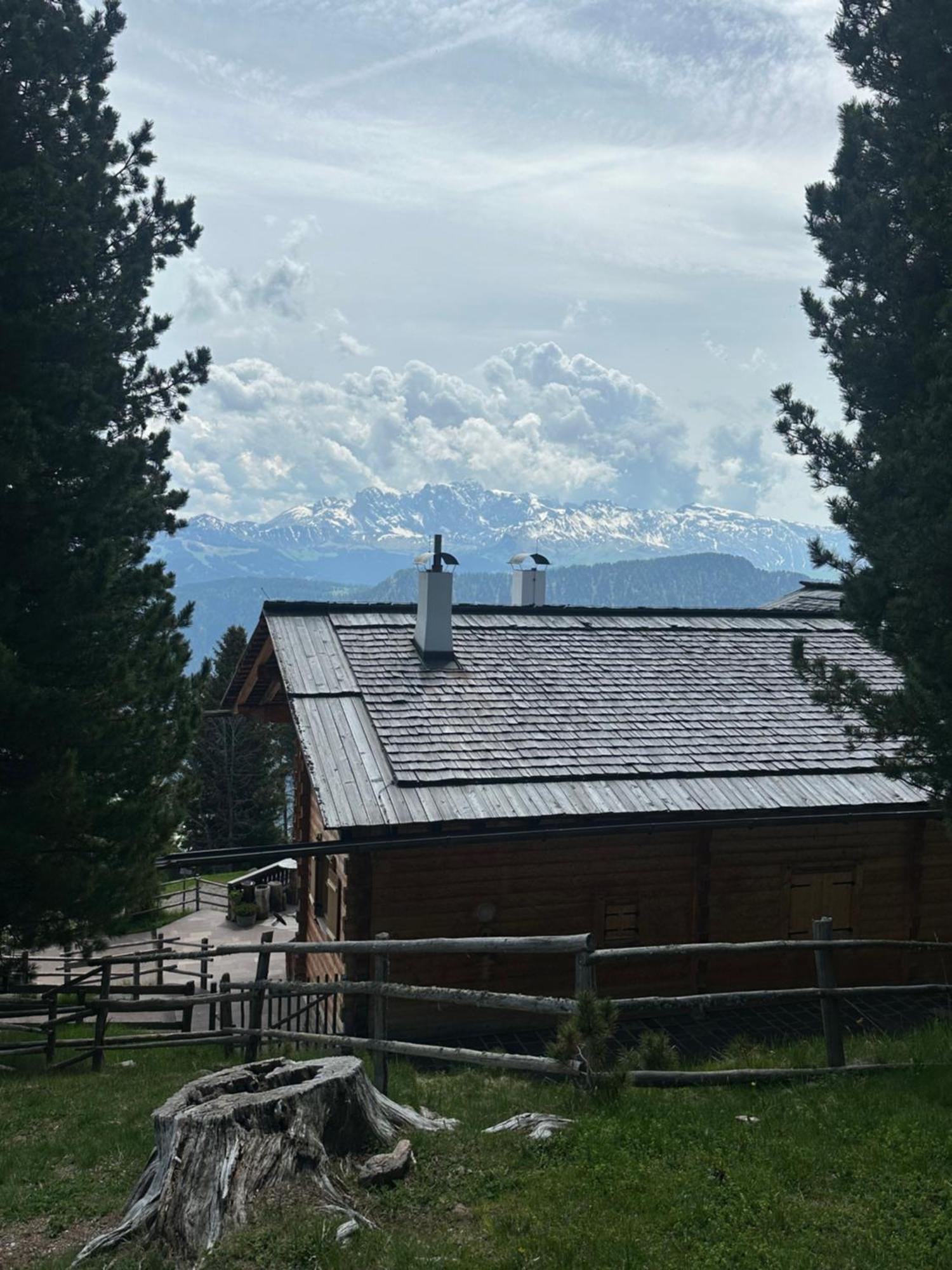 Chalet Da Mont Resciesa Ortisei Exterior foto